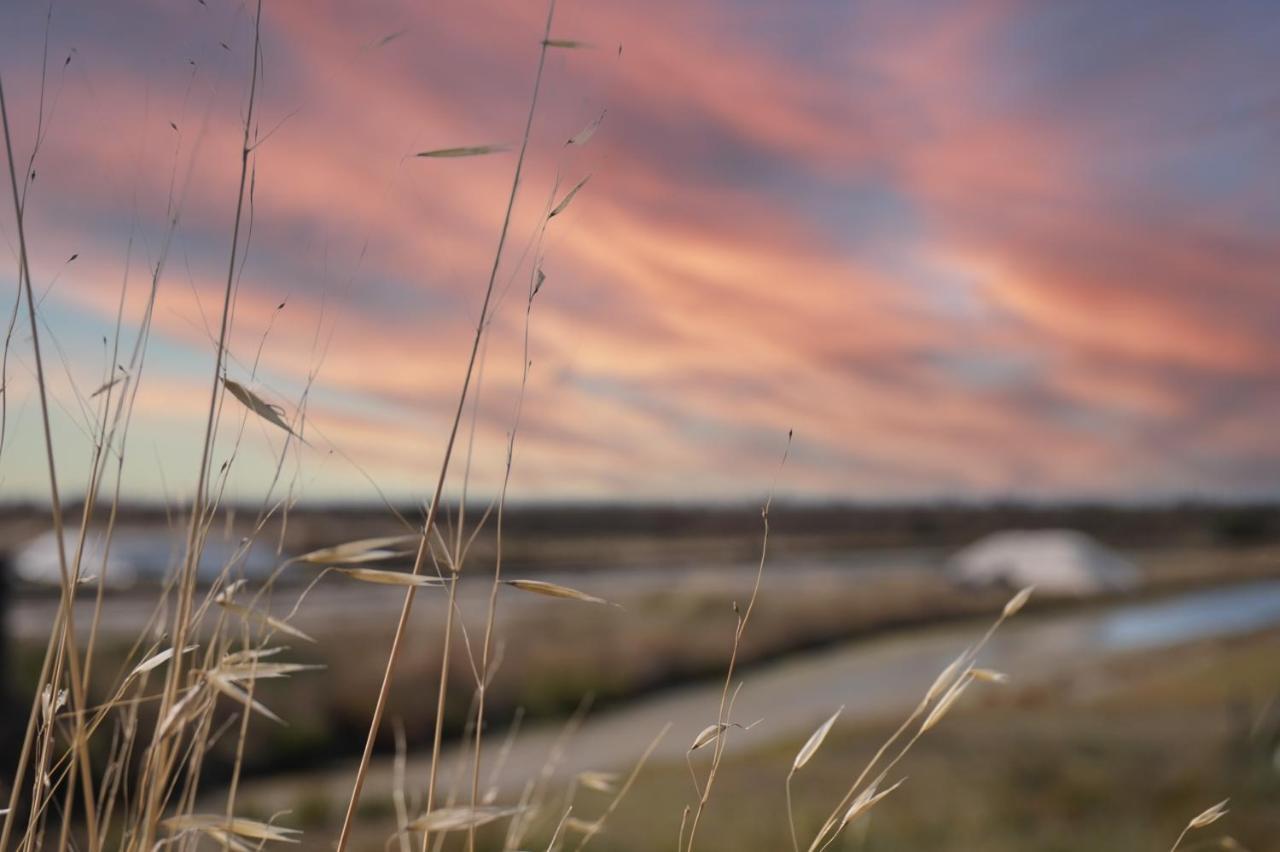 Villa Le Parc Des Mimosas Noirmoutier-en-l'Ile Esterno foto