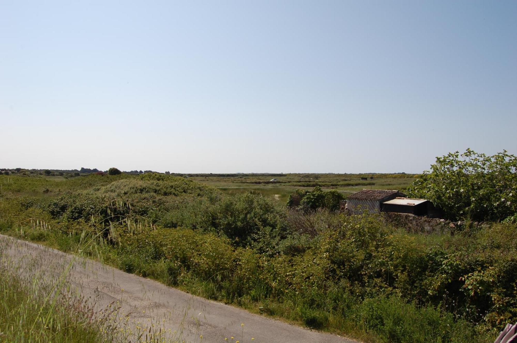 Villa Le Parc Des Mimosas Noirmoutier-en-l'Ile Esterno foto