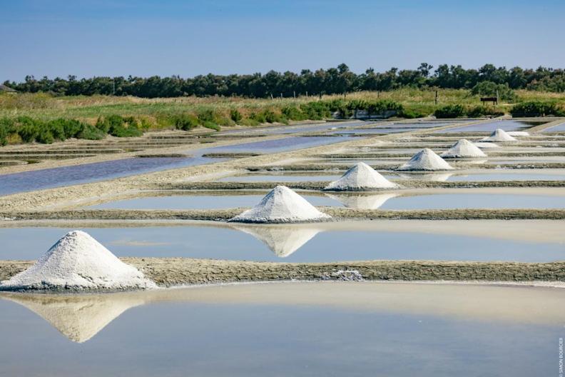 Villa Le Parc Des Mimosas Noirmoutier-en-l'Ile Esterno foto
