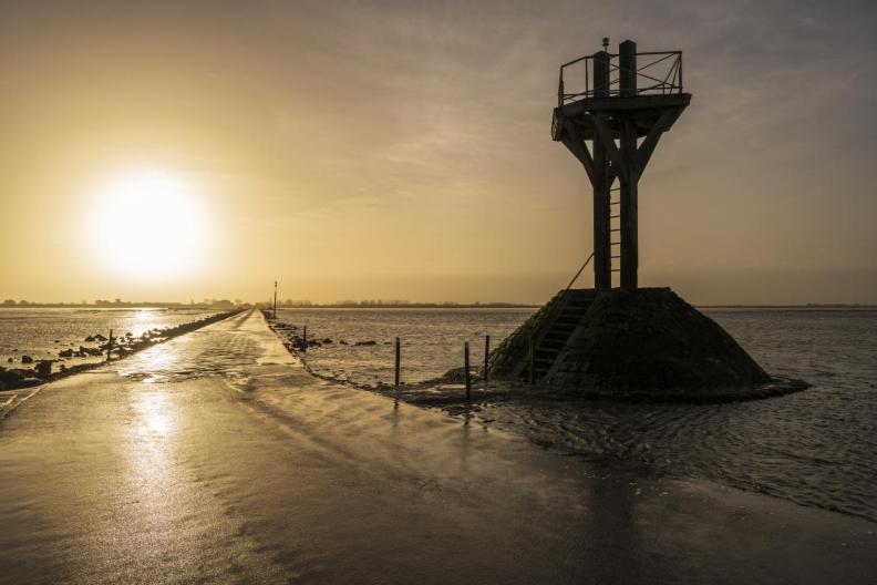 Villa Le Parc Des Mimosas Noirmoutier-en-l'Ile Esterno foto